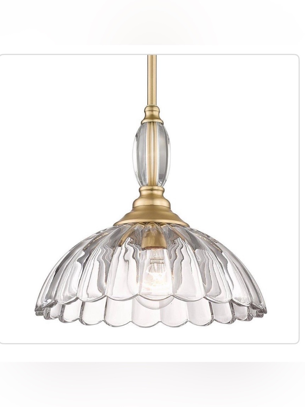 New Golden Lighting Glass Scalloped Pendant Light in Brushed Gold